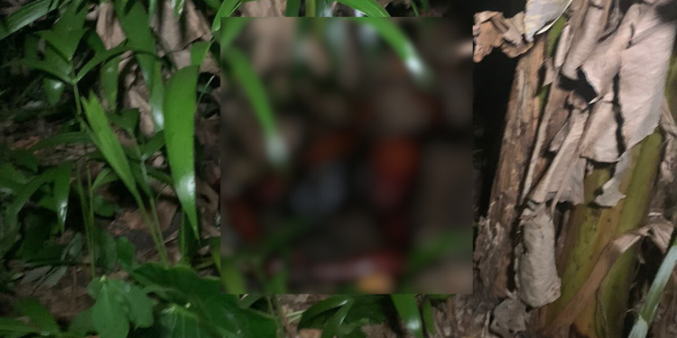 Jovens encontram cadáver em decomposição a caminho do futebol