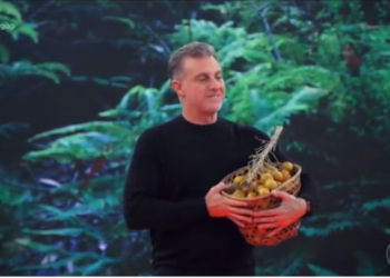 Amazonenses detonam Luciano Huck após ele dizer que Tucumã é do Pará