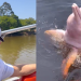 David Guetta desfruta de passeio amazônico depois de lotar estreia do Passo a Paço