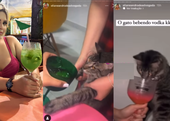 ​ Advogada de Manaus e amiga se divertem dando Vodka para gato: “Atenção, Joana Darc”