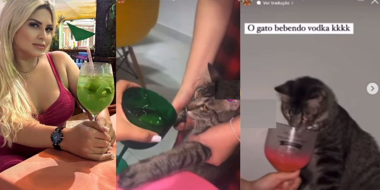 ​ Advogada de Manaus e amiga se divertem dando Vodka para gato: “Atenção, Joana Darc”