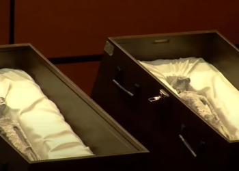 Restos mumificados de alienígenas são apresentados em assembleia na Câmara dos Deputados