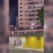 VÍDEO: pai e filha fazem resgate emocionante de cachorro em enchente