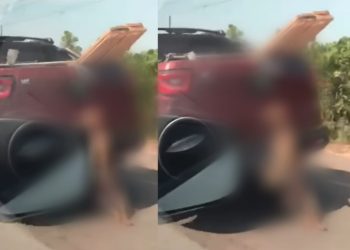 Barbaridade: mulher filma cachorro morto sendo arrastado em rodovia no Amazonas