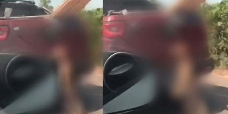Barbaridade: mulher filma cachorro morto sendo arrastado em rodovia no Amazonas