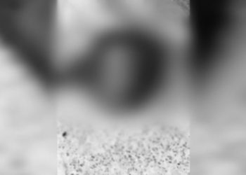 Cabeça humana jogada na rua deixa manauaras horrorizados