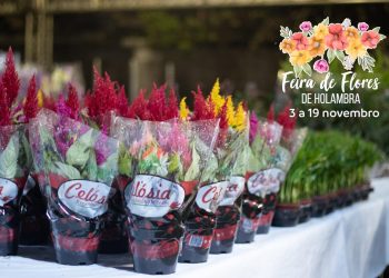 Feira de Flores de Holambra chega a Manaus com uma explosão de cores e encantos