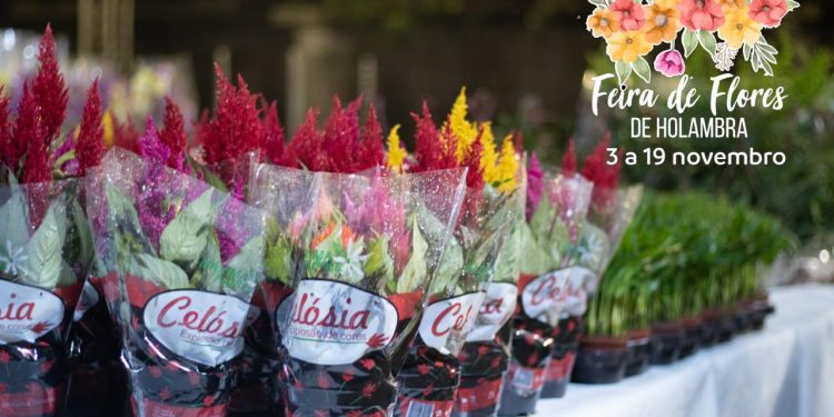 Feira de Flores de Holambra chega a Manaus com uma explosão de cores e encantos