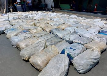 Operação Hórus apreende cerca de 16 toneladas de pirarucu ilegal em Coari