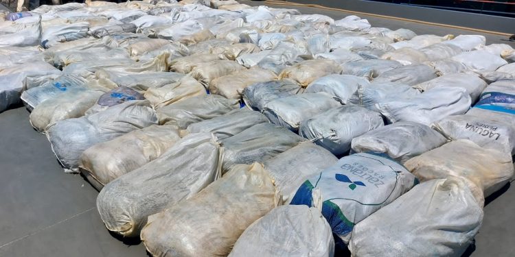 Operação Hórus apreende cerca de 16 toneladas de pirarucu ilegal em Coari