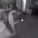 VÍDEO: menina de 3 anos encontra arma no sofá da avó e atira na própria mão