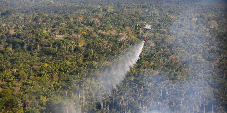 Na região metropolitana, Governo do Amazonas intensifica combate às queimadas com apoio da Marinha