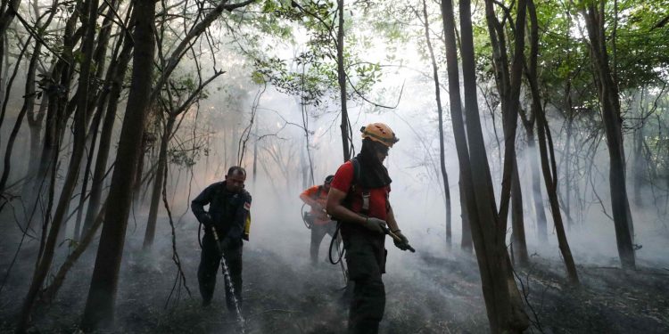 Governo do Amazonas contrata brigadistas para reforçar combate às queimadas