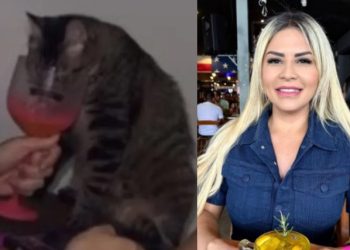 Advogada que filmou amiga dando vodca para gato é demitida do Governo do Amazonas