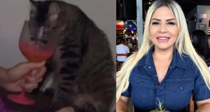Advogada que filmou amiga dando vodca para gato é demitida do Governo do Amazonas