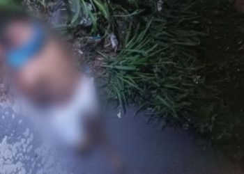 Corpo de homem amordaçado e morto a tiros é encontrado amarrado em Manaus