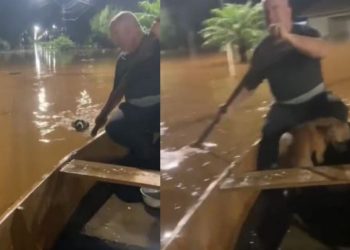 VÍDEO: pai e filha fazem resgate emocionante de cachorro em enchente