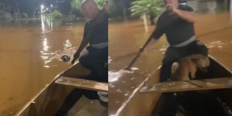 VÍDEO: pai e filha fazem resgate emocionante de cachorro em enchente