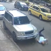 Vídeo: Capitão da PM reage a assalto, corre, cai e ladrão consegue fugir com a arma dele