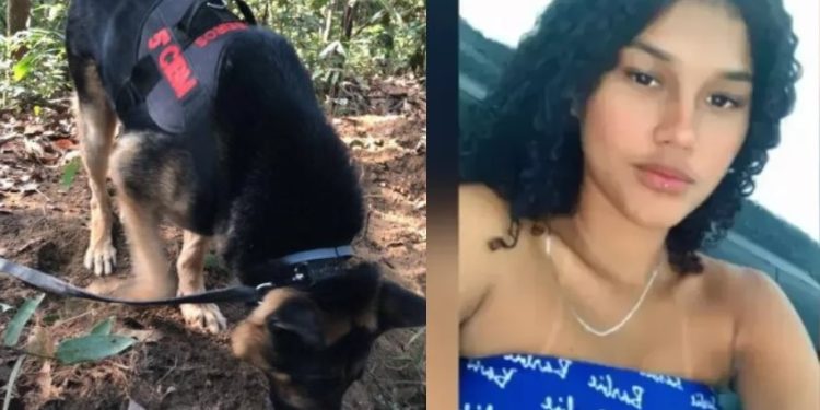 Cães encontram cova onde estava cadáver de menina desaparecida
