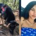 Cães encontram cova onde estava cadáver de menina desaparecida