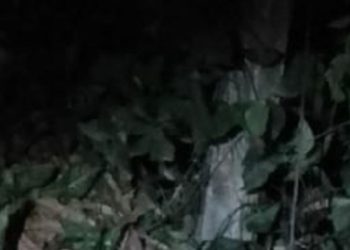 Vulgo ‘Chico’ é acertado com 10 tiros e encontrado morto em terreno baldio em Manaus