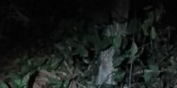 Vulgo ‘Chico’ é acertado com 10 tiros e encontrado morto em terreno baldio em Manaus