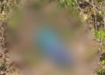 Corpo sem cabeça, sem pernas e sem braços é encontrado em Maués