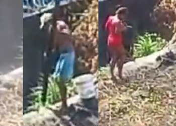 Filme de terror: vídeo mostra momento em que homens enterram cadáver em terreno baldio em Manaus