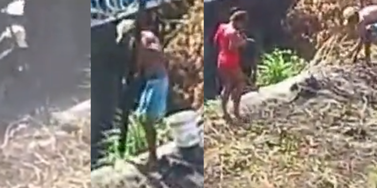 Filme de terror: vídeo mostra momento em que homens enterram cadáver em terreno baldio em Manaus