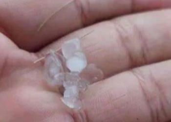 Vídeo: manauaras comemoram chuva de granizo após fumaceira