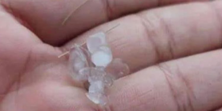 Vídeo: manauaras comemoram chuva de granizo após fumaceira