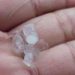 Vídeo: manauaras comemoram chuva de granizo após fumaceira