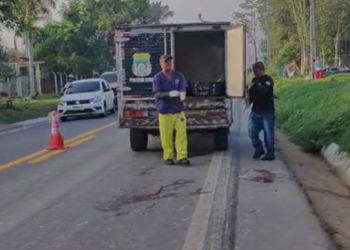 Vídeo: Motorista de carreta atropela e mata idosa indígena que vinha para Manaus fazer compras