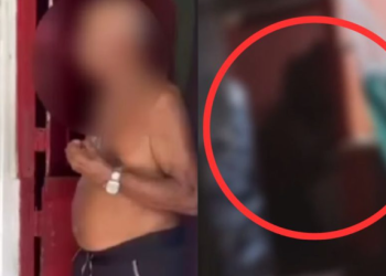 Idoso de 85 anos suspeito de estuprar 10 cadelas é preso em Manaus; ele foi filmado