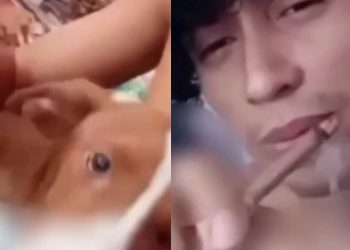 Vídeo mostra maconheiro assoprando fumaça da maconha na boca de cachorro em Manaus