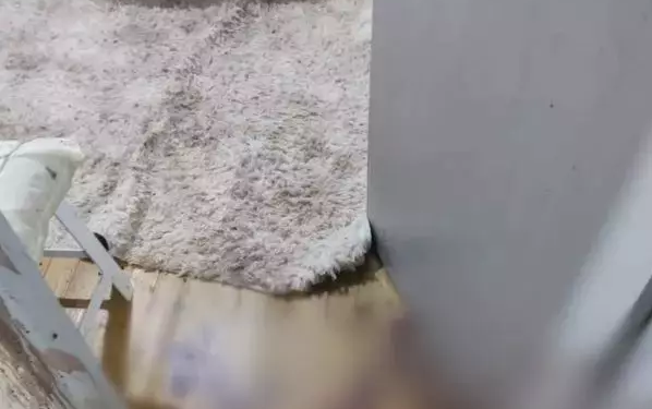Garoto de 15 anos mata a sogra e namorada revela o motivo: ‘Possuído pelo demônio’