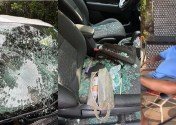 ‘Será ouvido na delegacia’, diz polícia sobre homem que depredou carro de turista em Presidente Figueiredo