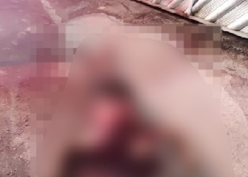Cena forte: Homem é espancado e executado a tiros no Japiim e filha de 13 anos reconhece o corpo