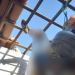 Vídeo: Homem morre pendurado no telhado com botija de gás que tentou furtar
