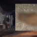 Vulgo ‘Churrasco’ fica ‘cotó’ ao ter a mão decepada no interior do AM após ser pego furtando; veja