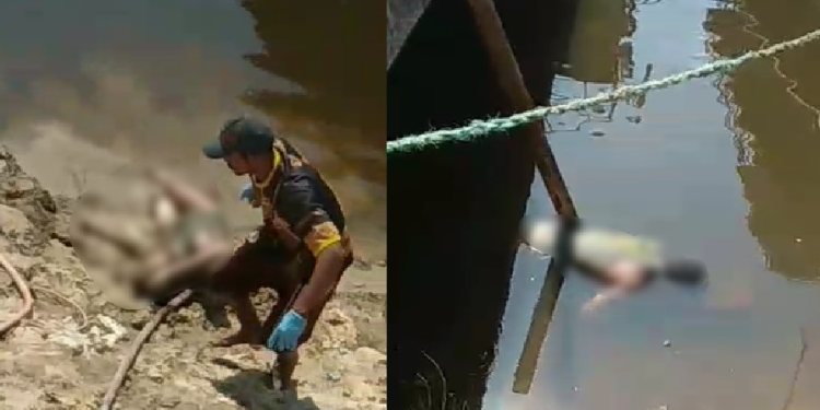 Cenas fortes: Peixes comem rosto de cadáver de pescador e deixam só os dentes em Cacau Pirêra