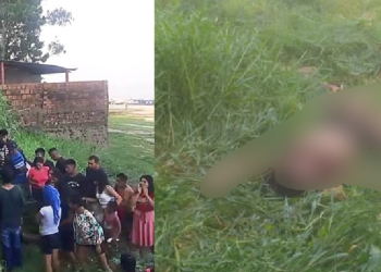 Veja: Com a blusa levantada, corpo de mulher de 22 anos é encontrado em terreno em Maués
