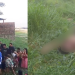 Veja: Com a blusa levantada, corpo de mulher de 22 anos é encontrado em terreno em Maués