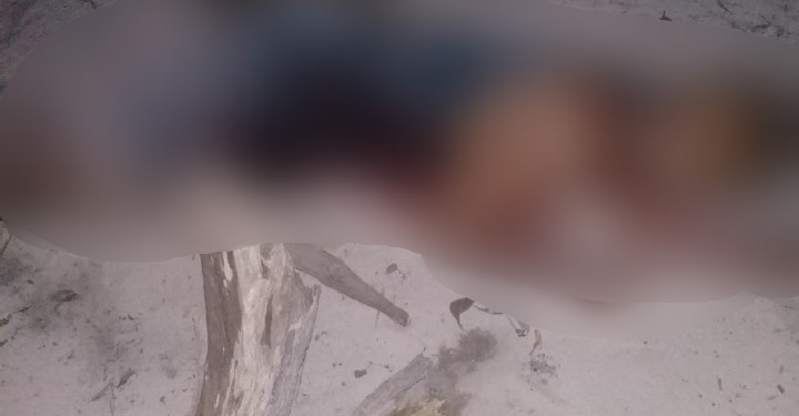 Homem que teria reagido a roubo de embarcação morre com um tiro em Parintins