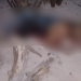 Homem que teria reagido a roubo de embarcação morre com um tiro em Parintins