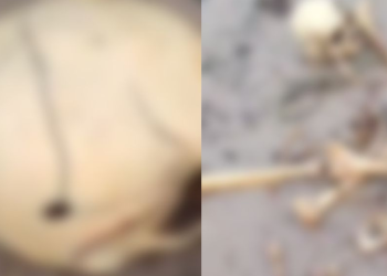 Cena forte: Esqueleto humano com tiro no crânio é encontrado perto da balsa Amarela na Manaus Moderna