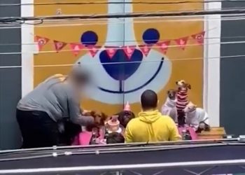 Vídeo: funcionários de pet shop são flagrados batendo em cachorros e causam revolta nas redes