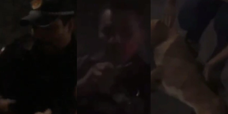 ‘Na maldade’, grita mulher após PMs matarem cachorro durante abordagem na Cidade Nova; vídeo