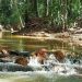 Imagem forte: morto pendurado pelo pescoço aterroriza cachoeira de Presidente Figueiredo